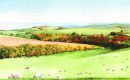 Spring lambs at Bopeep by Liz Hankins